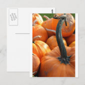 Pumpkin nah-up postkarte (Vorne/Hinten)
