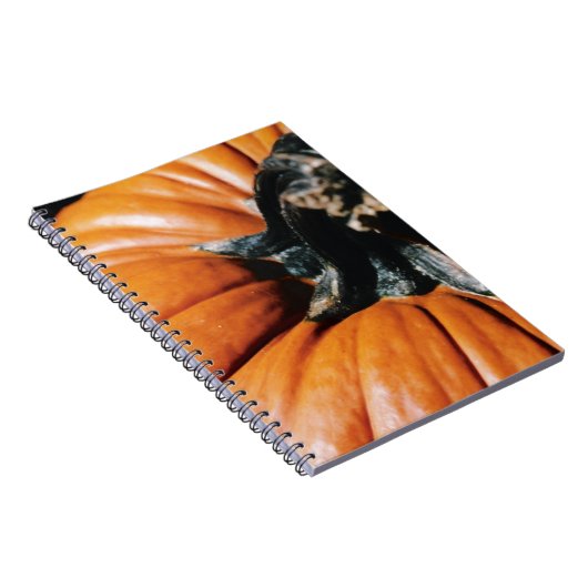 PUMPKIN! NOTIZBLOCK (Rechte Seite)