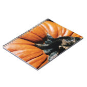 PUMPKIN! NOTIZBLOCK (Linke Seite)