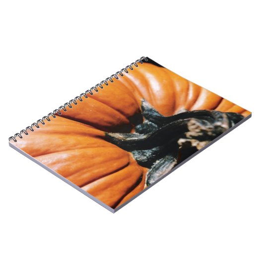 PUMPKIN! NOTIZBLOCK (Linke Seite)