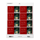 PUMPKIN-, OBST- UND GLASSWARE-Erntedank (Vorne)