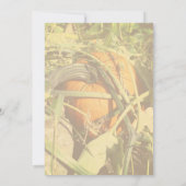 Pumpkin On The Vine Fall Nature Einladung (Rückseite)