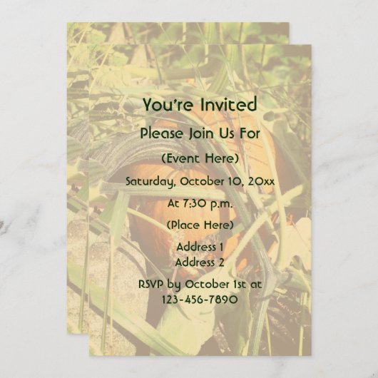 Pumpkin On The Vine Fall Nature  Einladung (Vorne/Hinten)