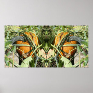 Pumpkin On Vine Fall Mirror Abstrakt Poster