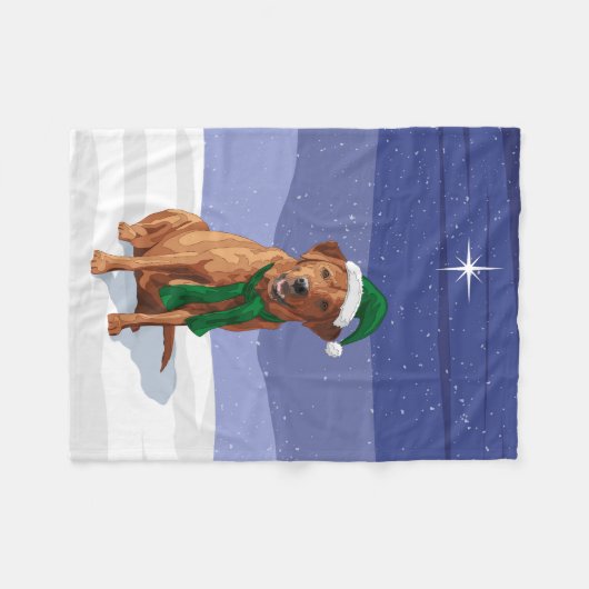 Pumpkin Orange Dripping Fleecedecke (Vorderseite (Horizontal))