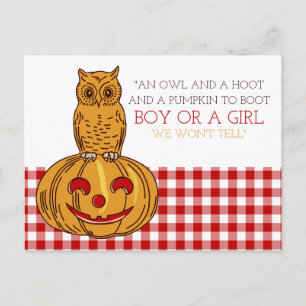 Pumpkin Owl & Gingham New Baby Ankündigung