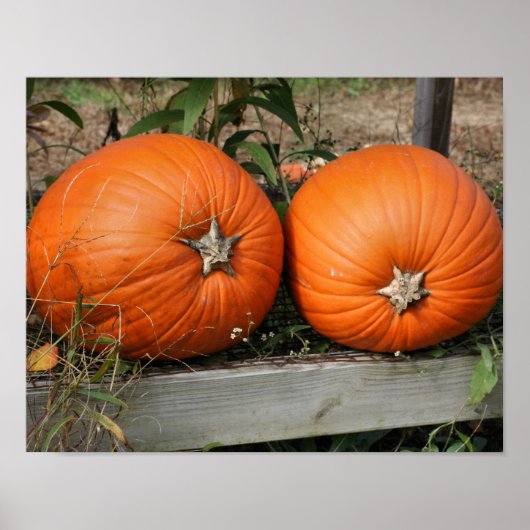 Pumpkin Pair Country Fall Poster (Vorne)