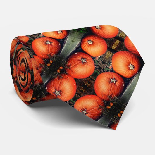 Pumpkin Pair Fall Abstraktes Muster Krawatte (Gerollt)