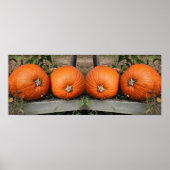 Pumpkin Pair Fall Mirror Abstrakt Poster (Vorne)