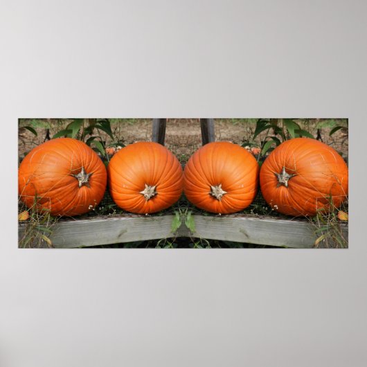 Pumpkin Pair Fall Mirror Abstrakt Poster (Vorne)