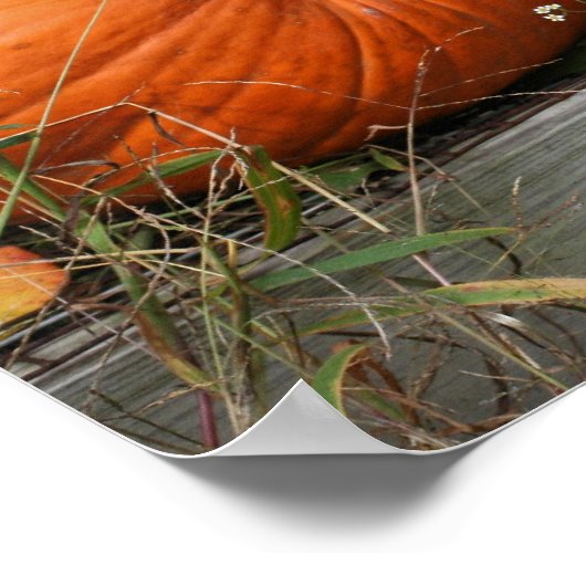 Pumpkin Pair Fall Mirror Abstrakt Poster (Ecke)