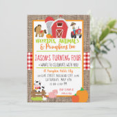 Pumpkin Patch Bauer Boys Red Gingham Birthday Einladung (Stehend Vorderseite)