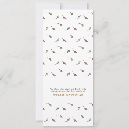 Pumpkin Patch Birthday Einladung (Rückseite)