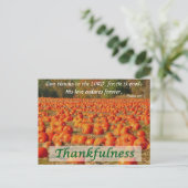 Pumpkin Patch - Dankbarkeit Postkarte (Stehend Vorderseite)