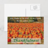 Pumpkin Patch - Dankbarkeit Postkarte (Vorne/Hinten)