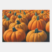 Pumpkin Patch Geschenkpapier Set (Vorderseite 3)