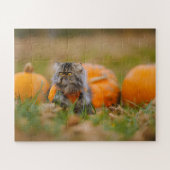 Pumpkin Patch Guardian 🎃 🐾 Puzzle (Horizontal)