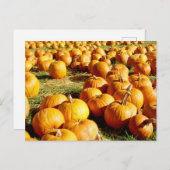 Pumpkin-Patch Halloween Feiertagspostkarte (Vorne/Hinten)
