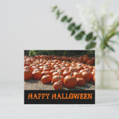 Pumpkin Patch Happy Halloween Postkarte (Stehend Vorderseite)
