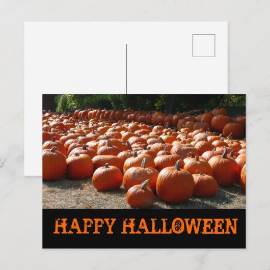 Pumpkin Patch Happy Halloween Postkarte (Vorne/Hinten)