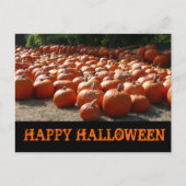 Pumpkin Patch Happy Halloween Postkarte (Vorderseite)