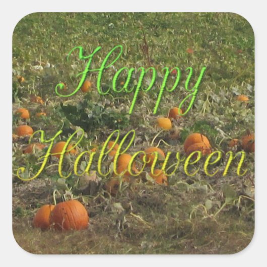 Pumpkin Patch Herbst Herbst Halloween Stickers (Vorderseite)