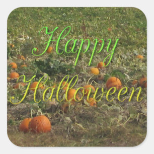 Pumpkin Patch Herbst Herbst Halloween Stickers