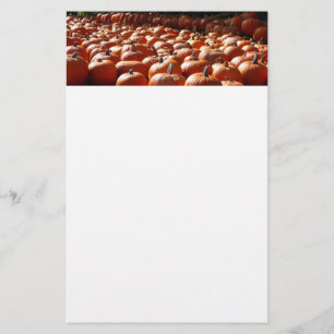 Pumpkin Patch Herbsternte Fotografie Briefpapier