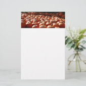 Pumpkin Patch Herbsternte Fotografie Briefpapier (Stehend Vorderseite)