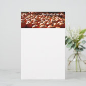 Pumpkin Patch Herbsternte Fotografie Briefpapier (Stehend Vorderseite)