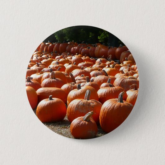 Pumpkin Patch Herbsternte Fotografie Button (Vorderseite)