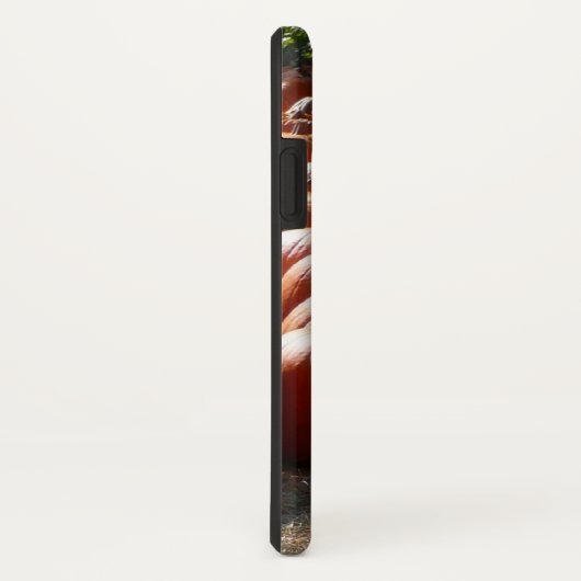 Pumpkin Patch Herbsternte Fotografie Case-Mate iPhone Hülle (Hinten/Rechts)