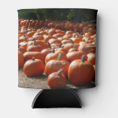 Pumpkin Patch Herbsternte Fotografie Dosenkühler (Vorderseite)