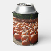 Pumpkin Patch Herbsternte Fotografie Dosenkühler (Kanne Rückseite)