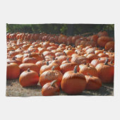 Pumpkin Patch Herbsternte Fotografie Geschirrtuch (Horizontal)