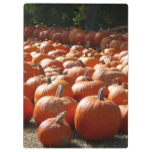 Pumpkin Patch Herbsternte Fotografie Klemmbrett (Rückseite)