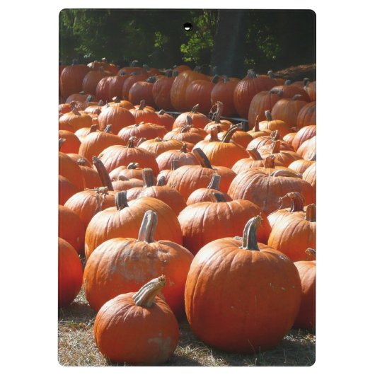 Pumpkin Patch Herbsternte Fotografie Klemmbrett (Rückseite)