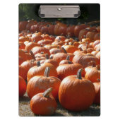 Pumpkin Patch Herbsternte Fotografie Klemmbrett (Vorderseite)