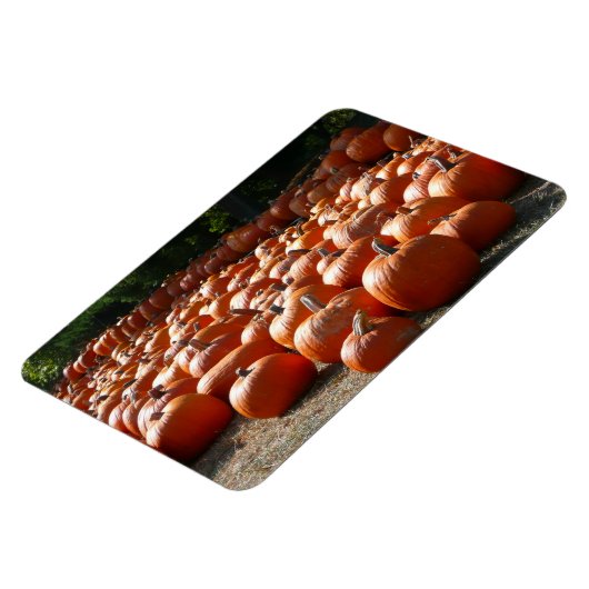 Pumpkin Patch Herbsternte Fotografie Magnet (Linke Seite)