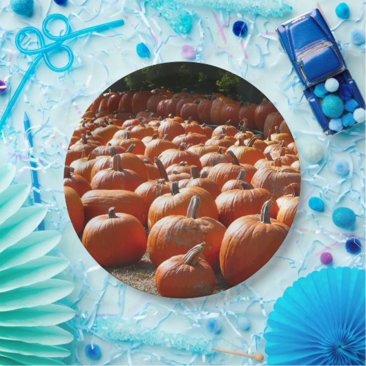 Pumpkin Patch Herbsternte Fotografie Pappteller (Party)