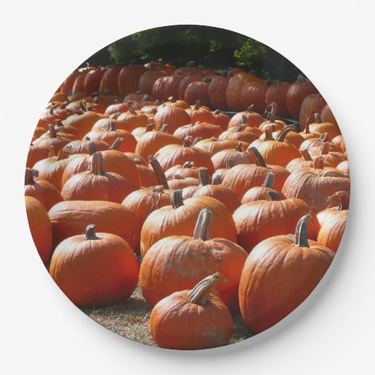 Pumpkin Patch Herbsternte Fotografie Pappteller (Vorderseite)