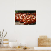 Pumpkin Patch Herbsternte Fotografie Poster (Küche)