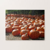 Pumpkin Patch Herbsternte Fotografie Puzzle (Horizontal)