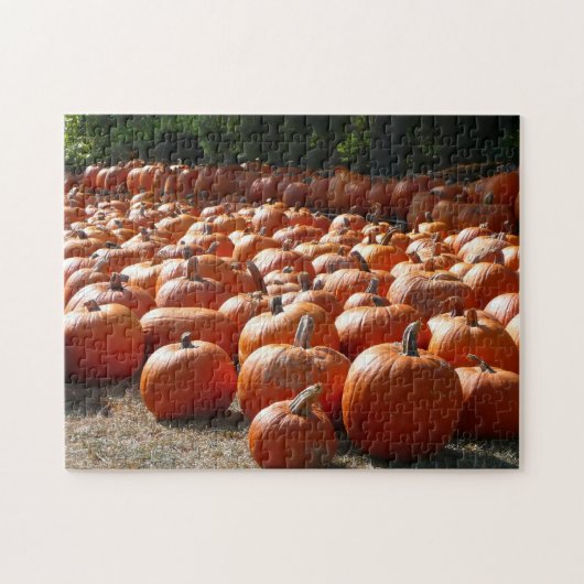 Pumpkin Patch Herbsternte Fotografie Puzzle (Horizontal)
