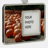 Pumpkin Patch Herbsternte Fotografie Rahmen-Ornament Silber (Rechts)
