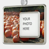 Pumpkin Patch Herbsternte Fotografie Rahmen-Ornament Silber (Links)