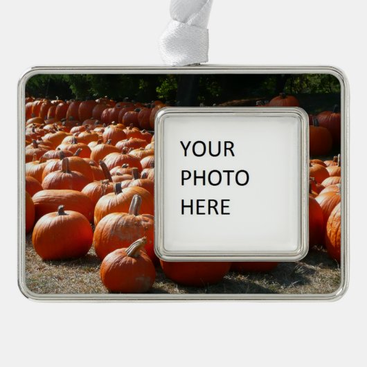 Pumpkin Patch Herbsternte Fotografie Rahmen-Ornament Silber (Vorderseite)