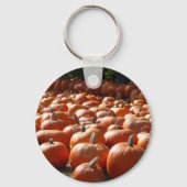 Pumpkin Patch Herbsternte Fotografie Schlüsselanhänger (Rückseite)