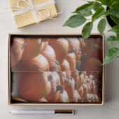 Pumpkin Patch Herbsternte Fotografie Seidenpapier (Geschenk)