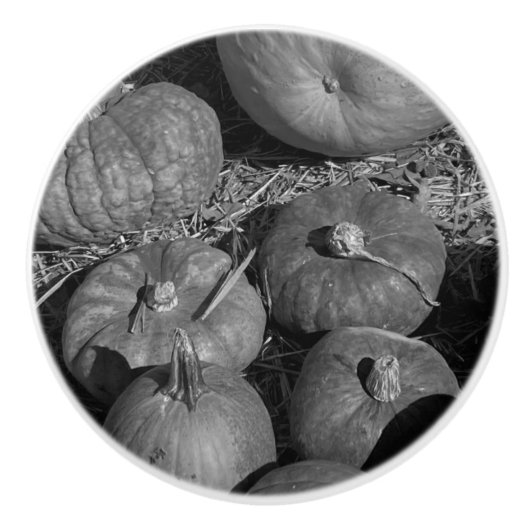 Pumpkin Patch Keramikknauf (Vorderseite)